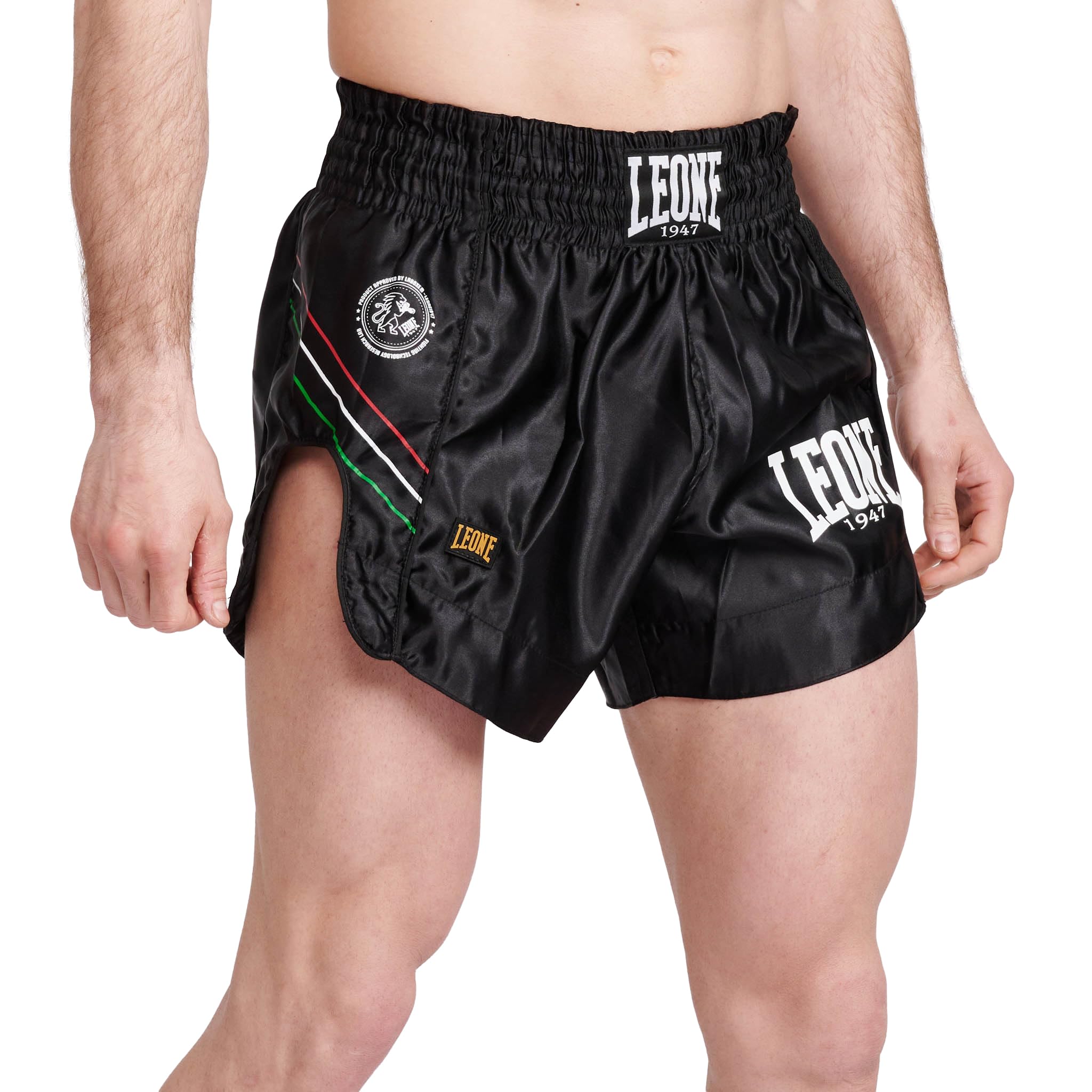 

Muay Thai Kickboxing Shorts FLAG Black [Leone 1947] чорний