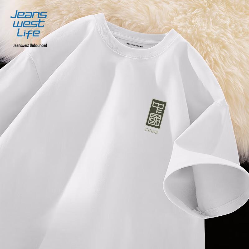Мужская хлопковая футболка JEANSWEST LIFE свободного кроя 2XL
