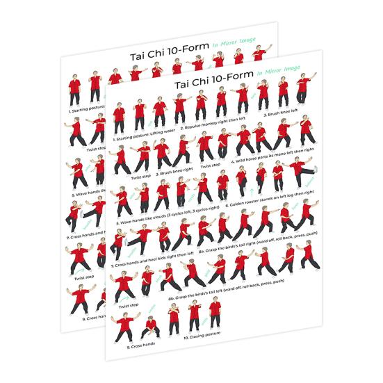 2Pcs Tai Chi Exercise Chart, 10 Form Mirror Image Poster, Move Guide for Beginners Seniors, Tai Chi Training Reference Wall Art