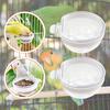 Bird Feeder Finch Foraging Food Dish Clear Parrot Feeder Hanging Feeding Bowl