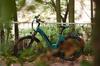TTGO C5 - 250W Motor - 48V 13.5Ah Lithium Battery – Range Up To 90 Km – Hydraulic Disc Brakes – 27.5×2.4 Inch Tires – Shimano 7 Speeds