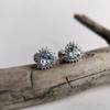 Silver Earrings with Natural Topaz 1.777ct (2188469)