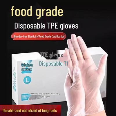 ZISIZ Disposable Thickened TPE Gloves