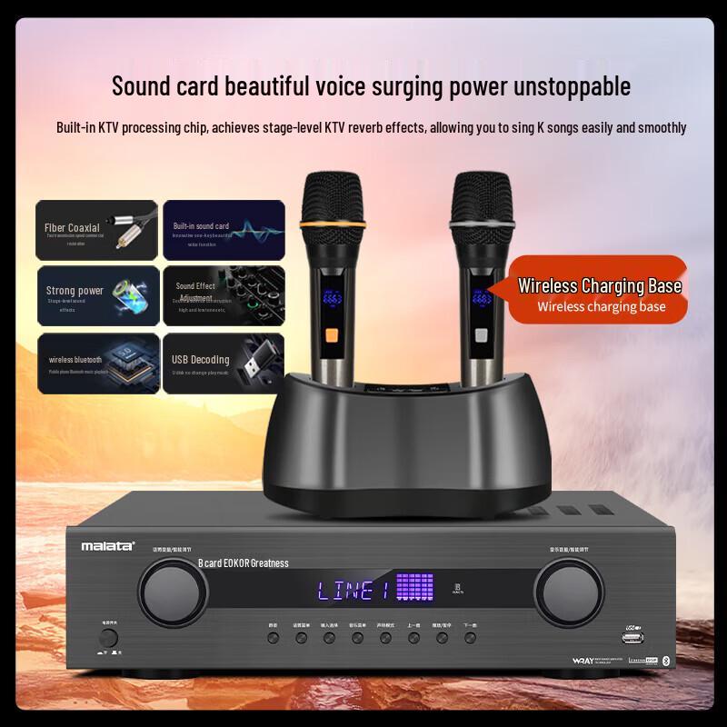 Malata Home Theater KTV Karaoke System (CN version)
