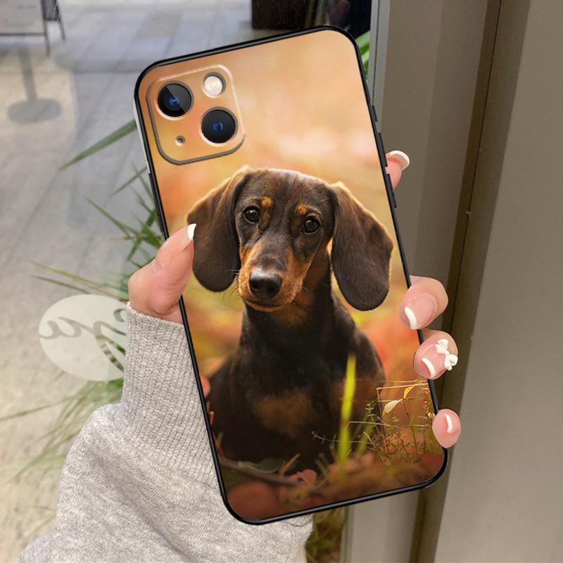Dachshund Dog Phone Case For iPhone 12 11 13 14 15 16 Pro Max Mini X XS XR Plus Shockproof Cover