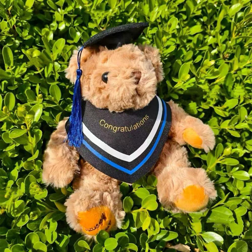Cute Bear Plush Toy 20cm Bear Animal Doll Lovely Graduation Bear  Kids Gift Style 4