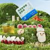 Sea Coconut Imperata Root Pear Herbal Tea