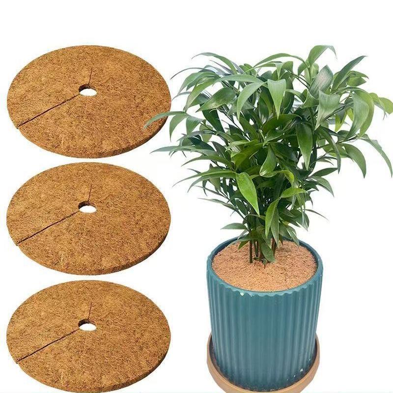 20/25/30/35cm 3PCS Fibre de Coco Naturelle Anneau Paillage Arbre Protecteur Tapis Organique pour Intérieur Extérieur Disque Cache-Plante Pot de Fleur