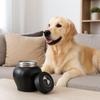 Stainless Steel Pet Memorial Ash Urn Sealed Jar Black Cat Funeral Keepsake Moisture-Proof Dog Cremation Urn Home Memorial