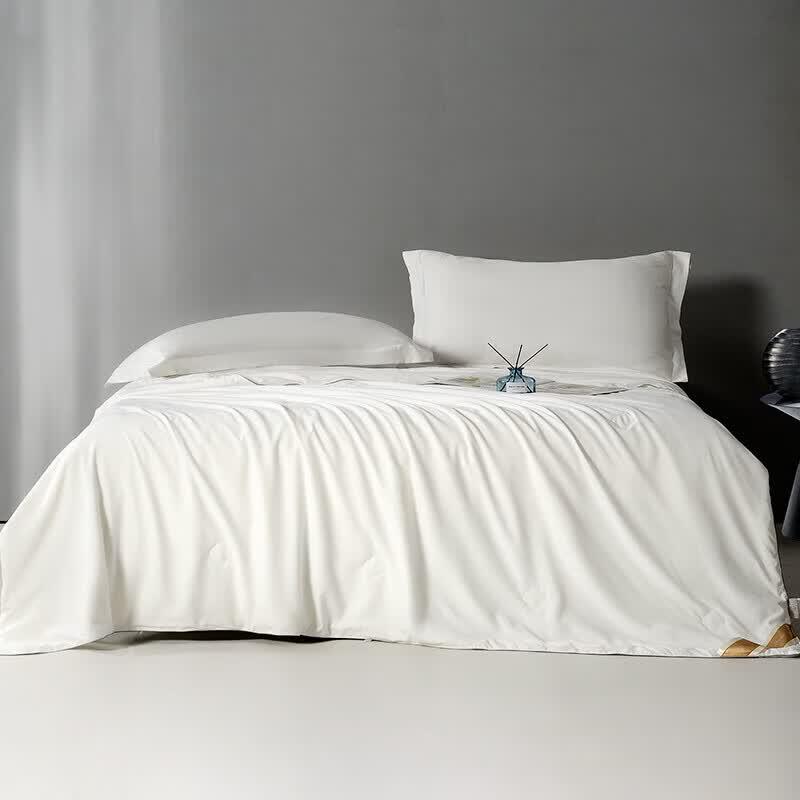 HongXiuShiFang Antibacterial Natural Mulberry Silk Quilt