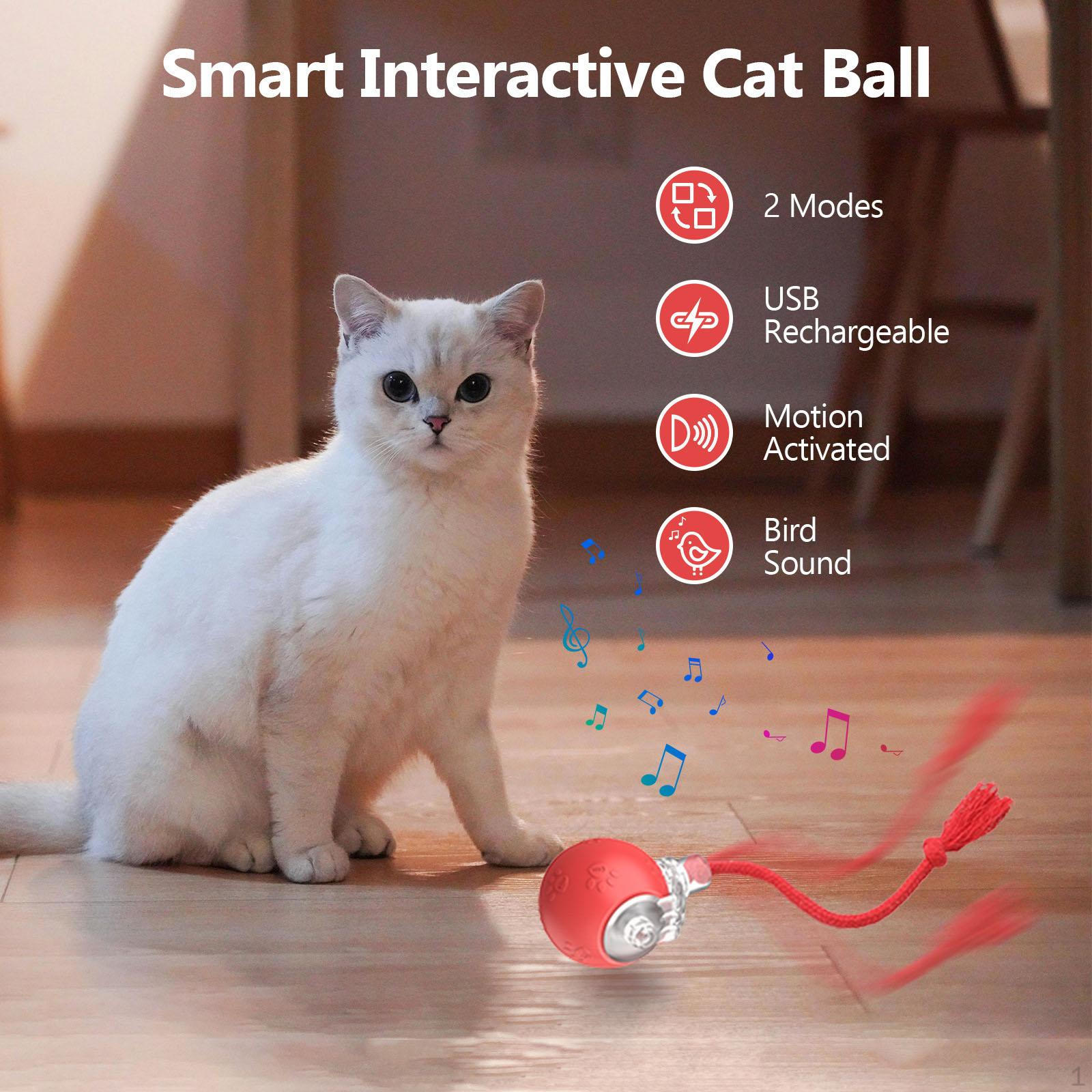 

Engaging Cat Play Ball, Fast Moving Rechargeable Toy for Indoor Use