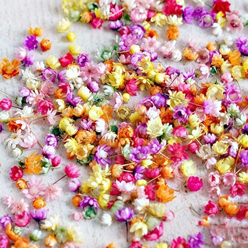 Dried Flowers Set for DIY Crafts Epoxy Resin Jewelry Making Candle Decoration Glass Art Pressed Natural Flowers Kit Wedding