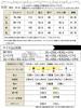 Gold Japan Plus Size Elastic Perfect for and Size Women's Pants, Long, Wide, Straight, Waist, Leg-Lengthening, Spring, Summer, Autumn, Winter, LL,