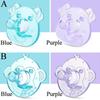 Molar Cartoon Chewable Nursing Soother Toy Silicone Pacifier Sleeping Pacifier Baby Pacifier