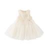 DAVE & BELLA Girls' Mesh Princess Dress
