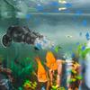 Dual Outlet Aquarium Wave Maker Suction Cup Mount Submersible Powerhead Pump  Freshwater Aquariums