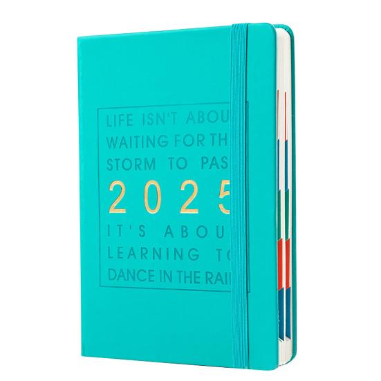 

Ежедневник-планировщик 2025 года. Комплексный ежедневник. Ежемесячный обзор. Планировщик ежедневной производительности. мятный зеленый