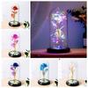 Romantic Rose Forever Flower In Dome Led Light Valentine Day Birthday Gift Decor