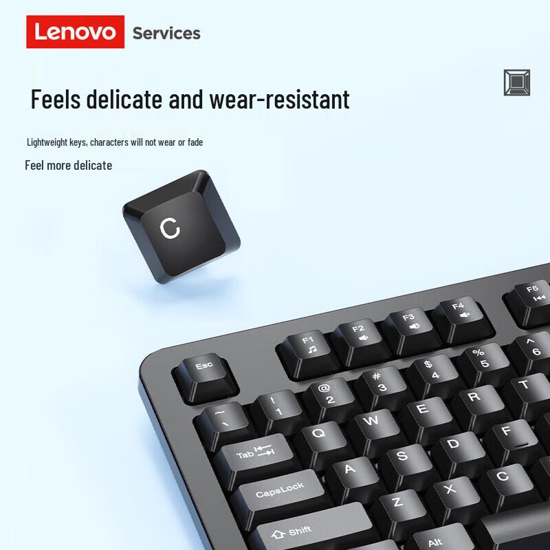 Lenovo Services Computer Peripherals