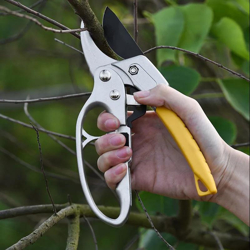 

Labor - Saving Fruit Tree Pruning Scissors Bypass Branch Pruning Scissors Professional Cutter Pruner for Garden Shear