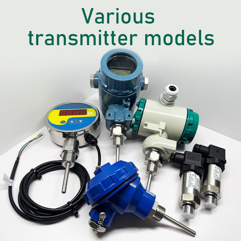 Universal Digital Temperature Transmitter Easy Installation Replace RTD/Thermocouple Customized OEM/ODM Support Stainless Steel