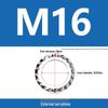 304 Stainless Steel Serrated Lock Washer with Anti-slip Teeth.