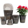 Self Watering Planter Pots Hydroponic Lazy Garden Pots Creative Plant Flower Pot  Room Decor