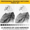 Drawing Sketching Pencil Set 21 Pack Art Pencil Kit with Graphite Pencils (14B-5H), Charcoal Pencil, Ideal for Shading, Blending, Drawing Set for