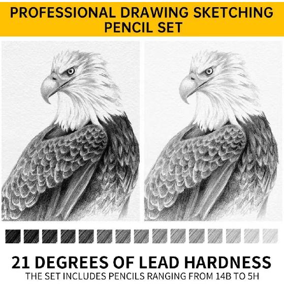 Drawing Sketching Pencil Set 21 Pack Art Pencil Kit with Graphite Pencils (14B-5H), Charcoal Pencil, Ideal for Shading, Blending, Drawing Set for