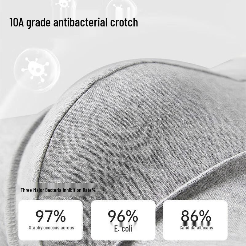 Ersan Men's Cotton Antibacterial Boxer Briefs 4-Pack