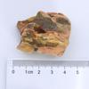 1lb/500g Natural Dragon Bone Stone, Aquarium Landscape Decorative Stone, Natural Irregular Stone, Porous Stone, Fish Tank Fillin