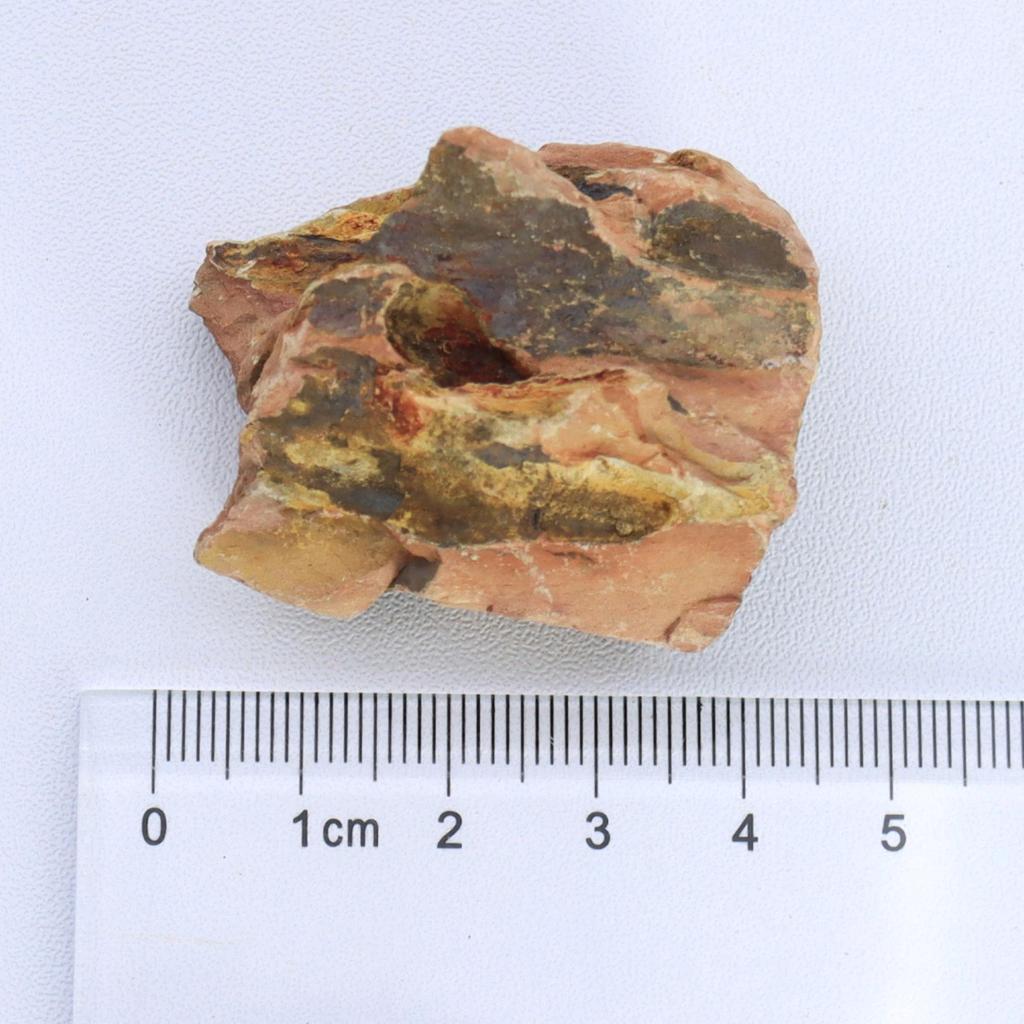1lb/500g Natural Dragon Bone Stone, Aquarium Landscape Decorative Stone, Natural Irregular Stone, Porous Stone, Fish Tank Fillin