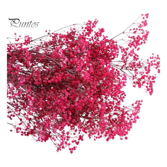 

Букет эониума из сухоцветов Яркий цвет Не выцветает Простота в уходе Натуральная сушеная гипсофила Декорация ко Дню святого Валентина розы красного