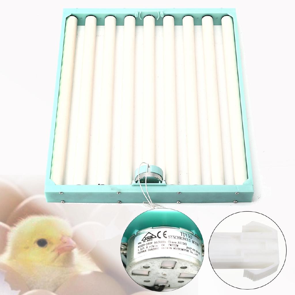 360 Degree Chicken Eggs Turner Automatic Incubator Farm Incubation Tray Tools Duck Quail Bird Poultry Eggs Supplies Blue