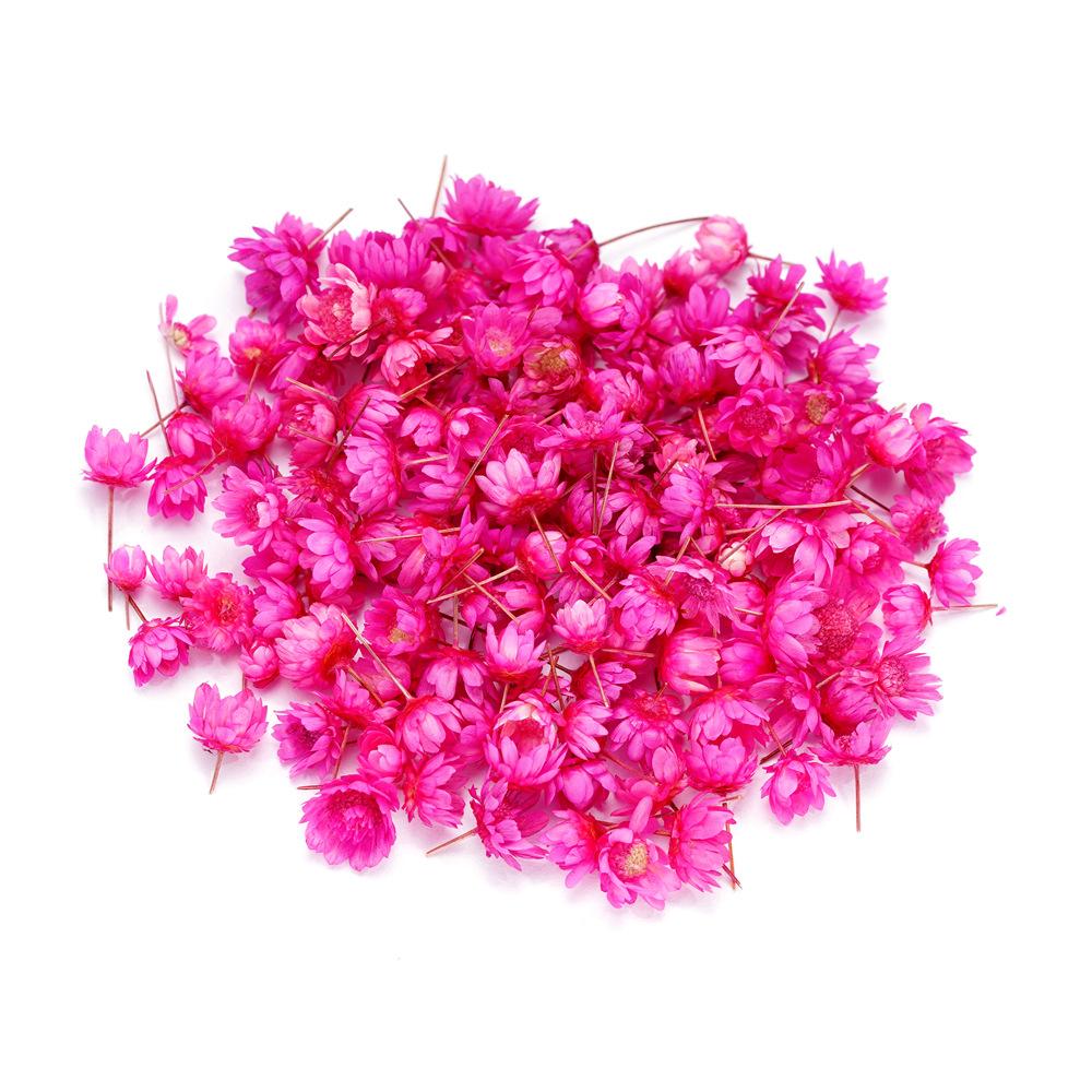 

5mm~ 8mm Bags of Dried Flowers, Natural Little Star Flower Head, Handmade DIY Group Fan Crystal Epoxy Decorative Dried Flowers A about 140 flower heads