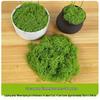 Artificial Moss Silk Grass Lawn for Landscaping and Decoration