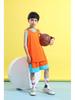 Youth and Adult Quick-Dry Breathable Basketball Jersey - Multi-Color, Customizable Training Camp Performance Wear