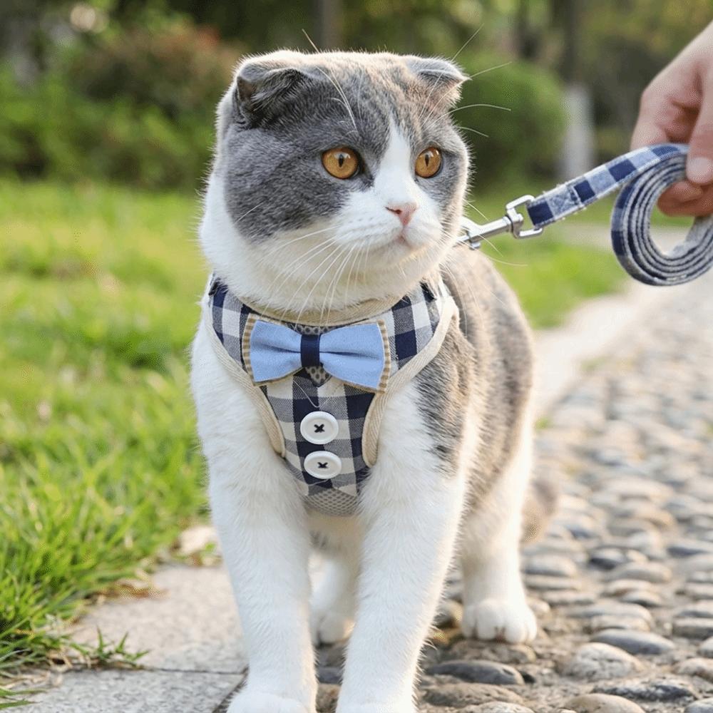 Air Permeable Fabric Cat Walking Vest Adjustable Strap Adjustable Cat Leash Kitten Daily Activity
