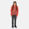 Regatta Childrens/Kids Dissolver V Fleece