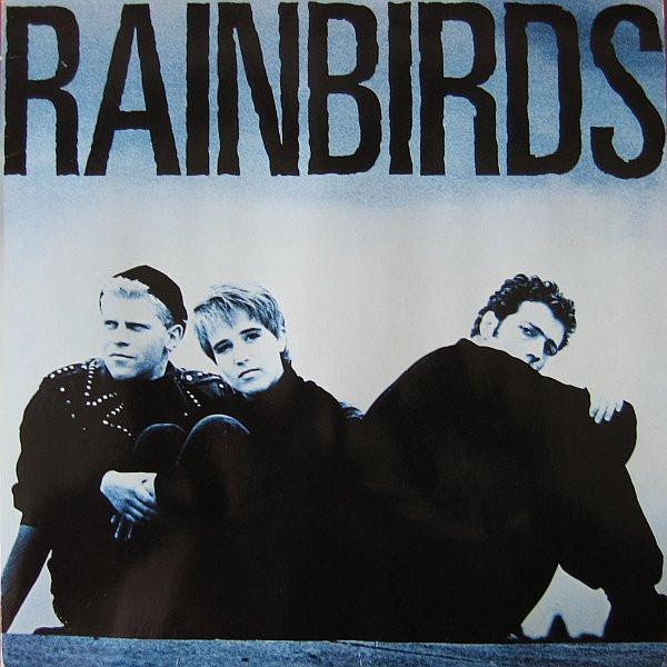 

LP Record RAINBIRDS Rainbirds 8340231 Mercury 1987 Germany Rock Used