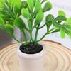 1:12 Doll House Mini Potted Small Green Plant Decoration Ornaments