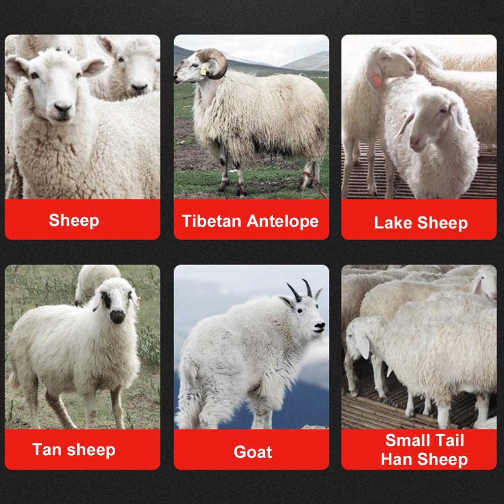 2200 Rpm 2 Speeds Wireless Electric Sheep Goat Kit Shearing Machine 6000mah Clipper Farm Animal Shears Cutter Wool Scissor for Battery 110-220V