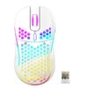 Wireless RGB Honeycomb Gaming Mouse, Lightweight with TYPE-C Charging and Wired Options
