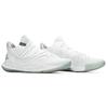 Under Armour Curry 5 White Ice 3020657-106