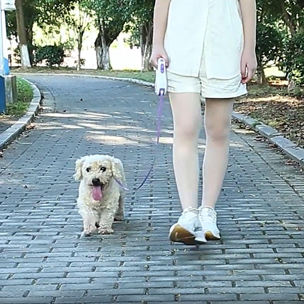 3m Extendable Retractable Dog Leash Adjustable Pet Walking Lead LED Luminous Leash  Outdoor Walking