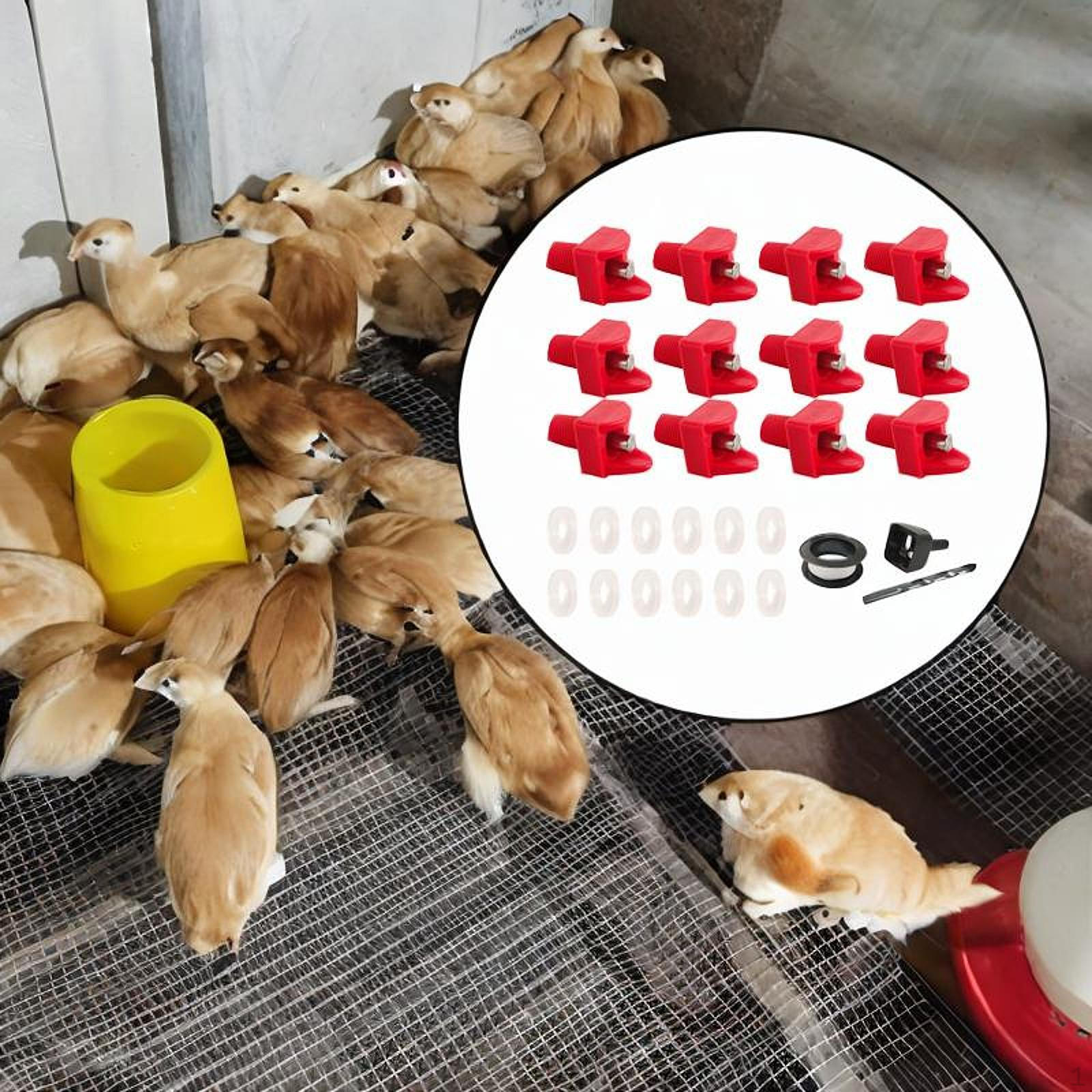 

Горизонтальная поилка для кур, для гусей, цыплят, курятника, уток 12pcs