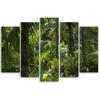 Fünfteiliger Leinwanddruck „Wald, Bäume, Natur“.
