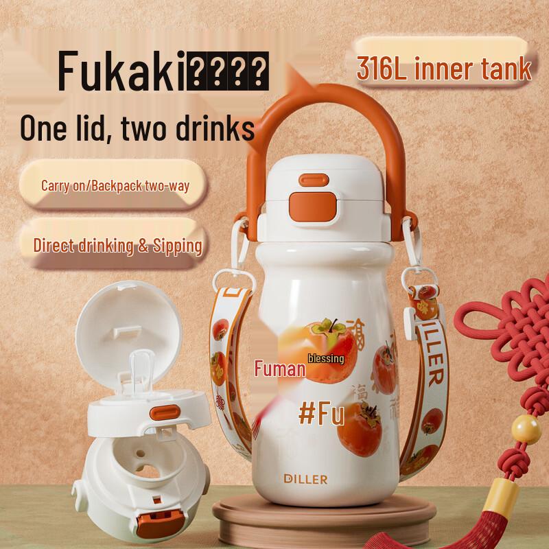 Diller Portable Insulated Tumbler 520ml