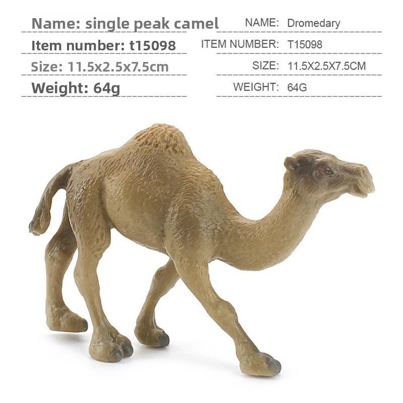 Wildlife Pvc Model Collection With Realistic Desert Camels For Classroom Decor