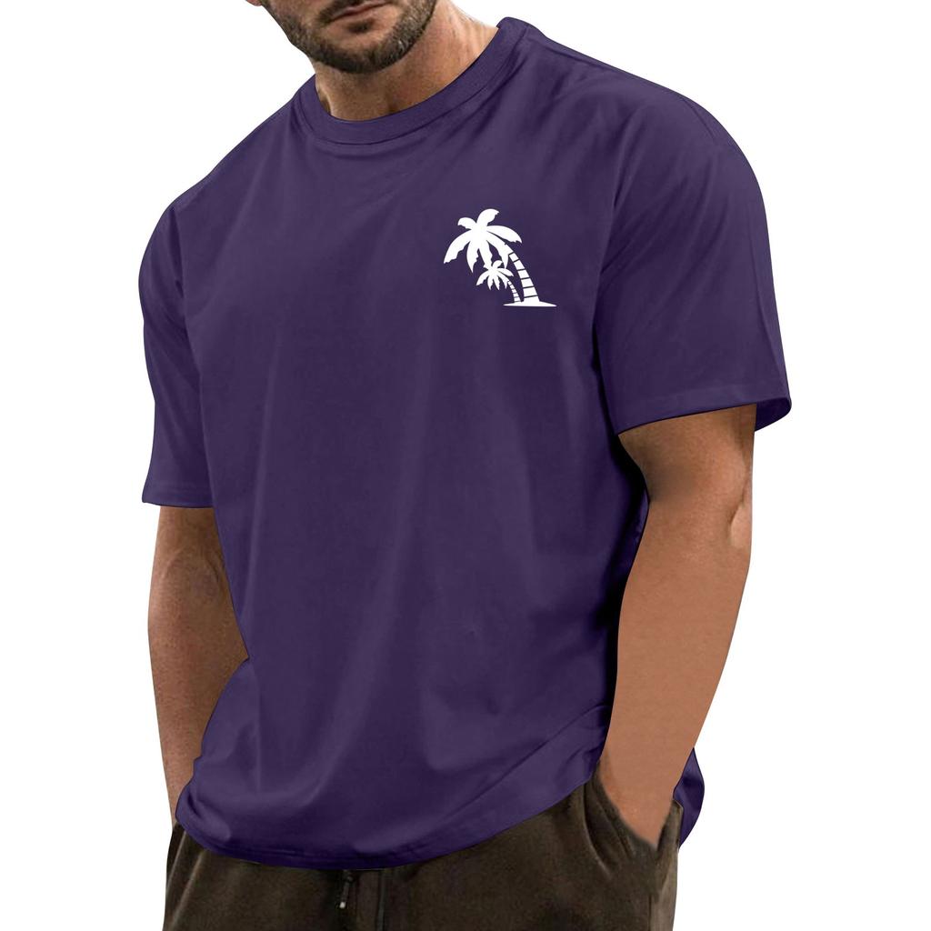 Men's Fashionable Casual Hawaiian Print Round Neck Short-Sleeved T-Shirt Top